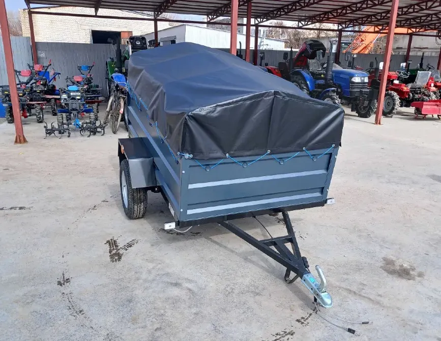 Новий причіп легковик 200х130х40 (причіп Дніпро-200) Васильків - фото 1