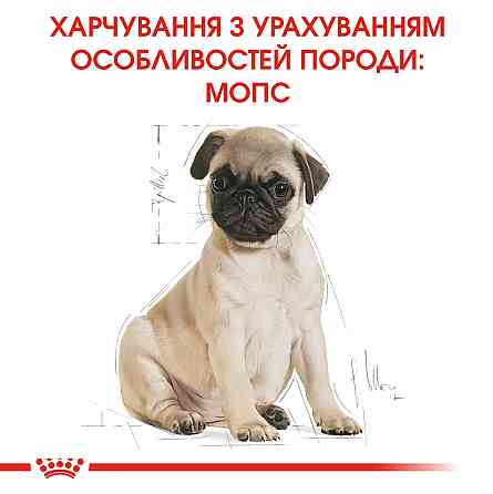 Корм для цуценят породи Мопс ROYAL CANIN PUG PUPPY 1.5 кг Київ