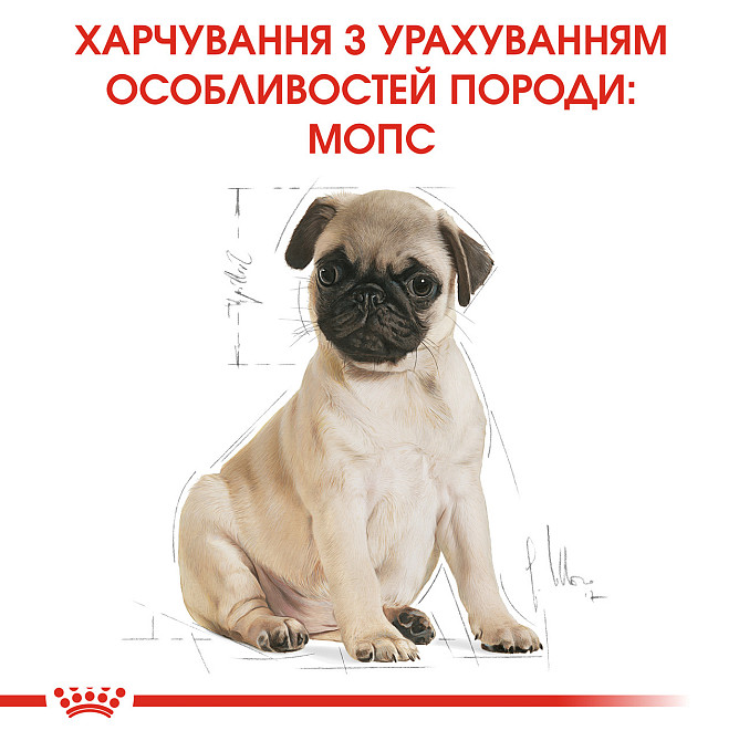 Корм для цуценят породи Мопс ROYAL CANIN PUG PUPPY 1.5 кг Київ - фото 6
