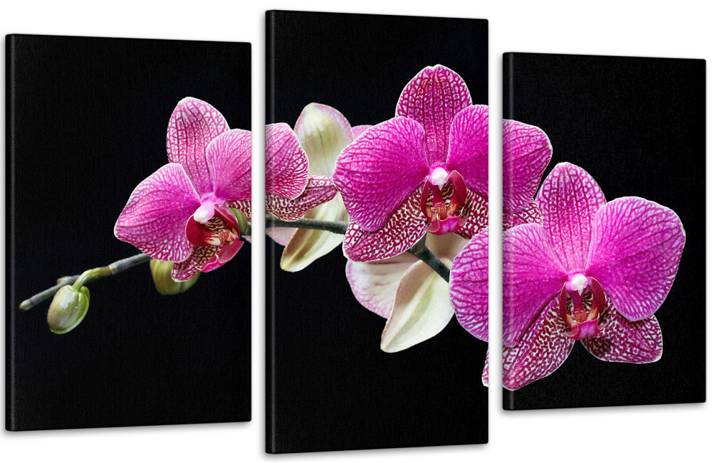 Модульна картина Орхідея (53х100см) Art-133_3 Київ - фото 1