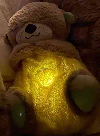 Заспокійливий нічник Дихаюча Видра і Коала Мягкая игрушка Ночник Выдра. Харків