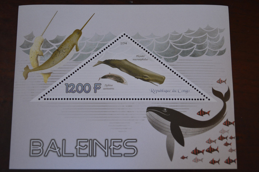 Конго. Фауна. Личности. Блок. 2014 р. (А-34) Полтава - фото 1