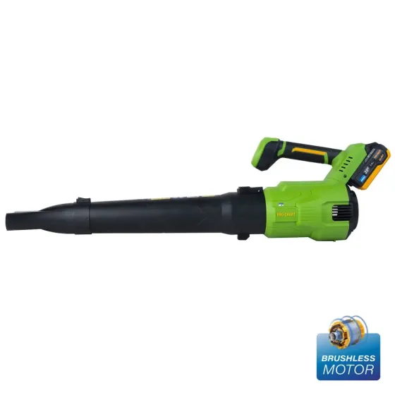 Аккумуляторная воздуходувка Procraft PB26 (1 АКБ и зп) Коломыя