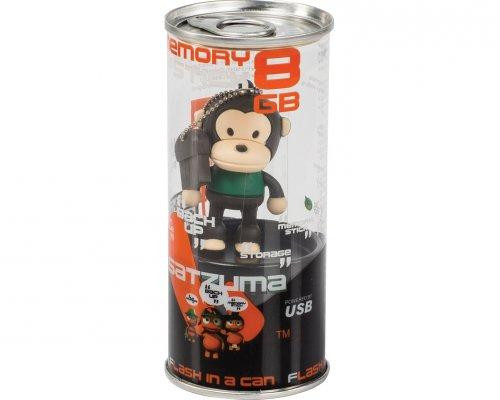 Флеш-накопичувач 