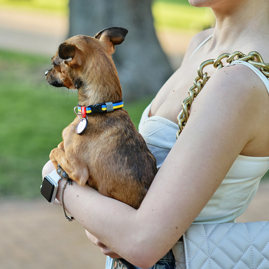 Нашийник для собак нейлоновий WAUDOG Nylon з QR паспортом, малюнок "Colors of freedom", пластик Коломыя - изображение 2