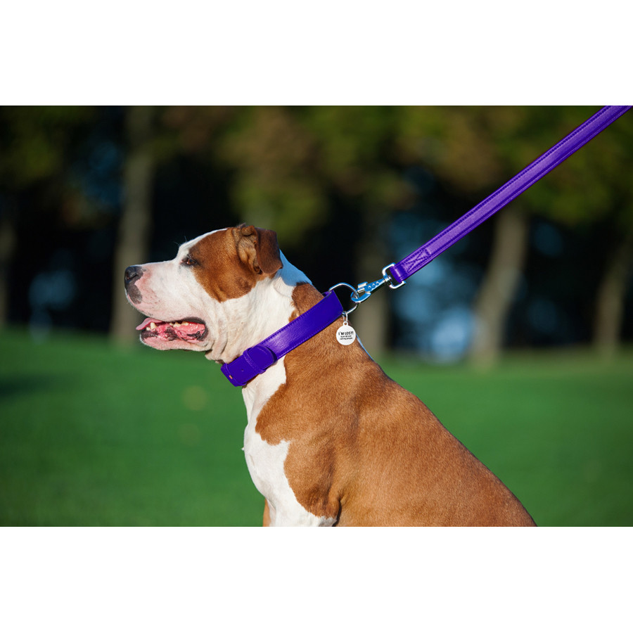 Повідець для собак шкіряний WAUDOG Glamour, Ш 25 мм, Дов 122 см фіолетовий Коломия - фото 3