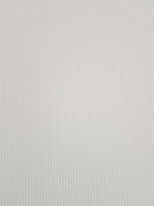 Шпалери флізелінові еко Rasch Sophia 0.53х10 смужки тонкі білі світло-сірі Київ - фото 3