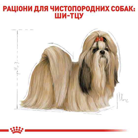 Сухий корм для дорослих собак породи Ши-тцу ROYAL CANIN SHIH TZU ADULT 1.5 кг Київ