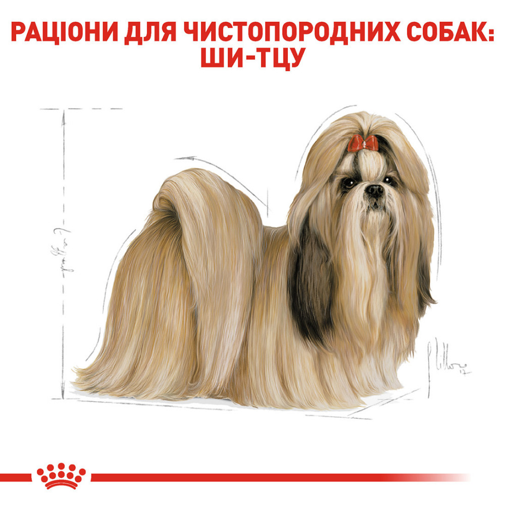 Сухий корм для дорослих собак породи Ши-тцу ROYAL CANIN SHIH TZU ADULT 1.5 кг Київ - фото 3