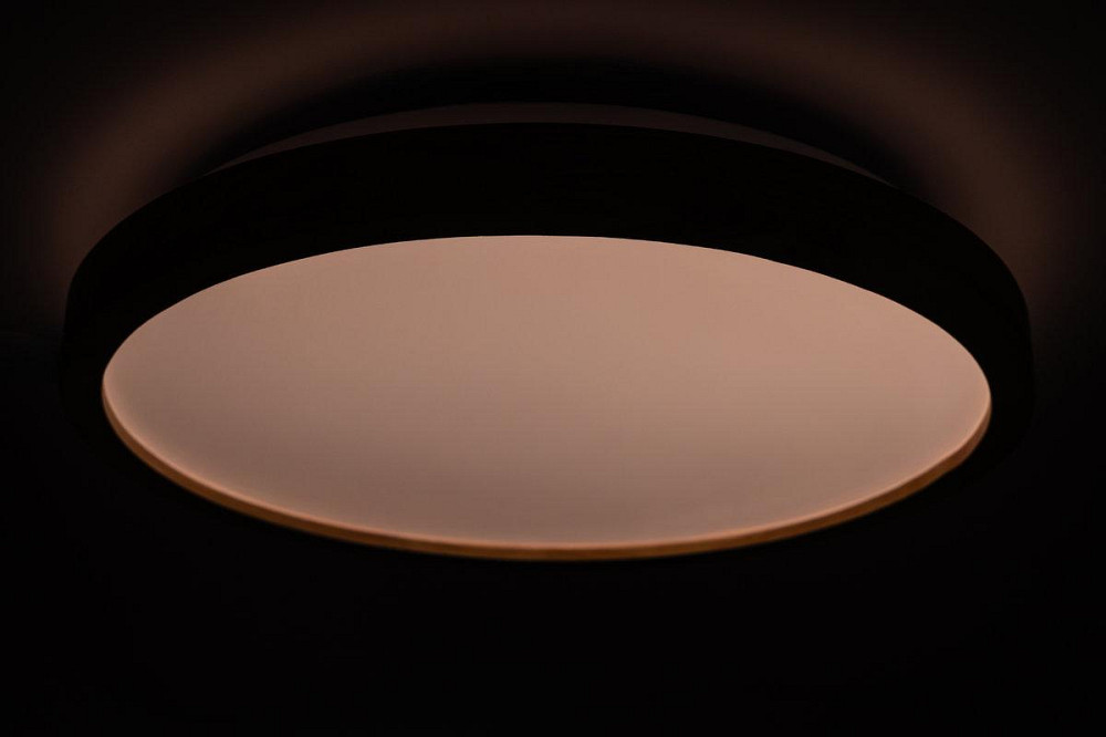 WOOD матовый 60W 375*60мм 3000К-6500К с ДУ акация Киев - изображение 6