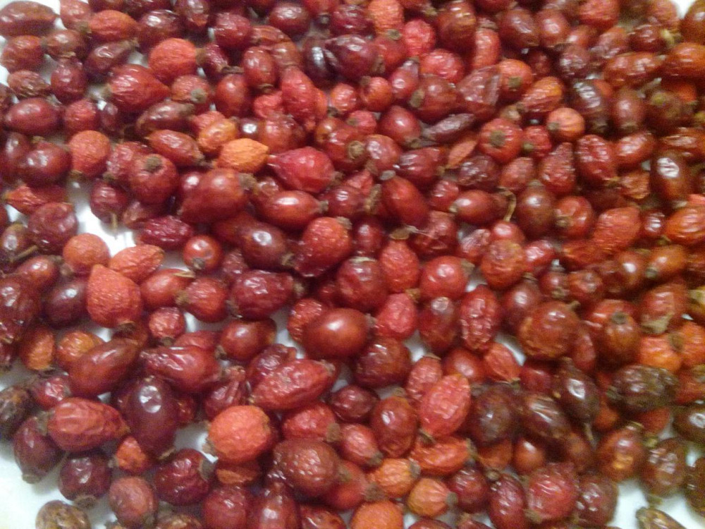 Шиповник (ягода), 10кг. MasterSEM Киев - изображение 1