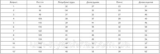 Вишиванка для хлопчика "Тарас" синя Кривий Ріг