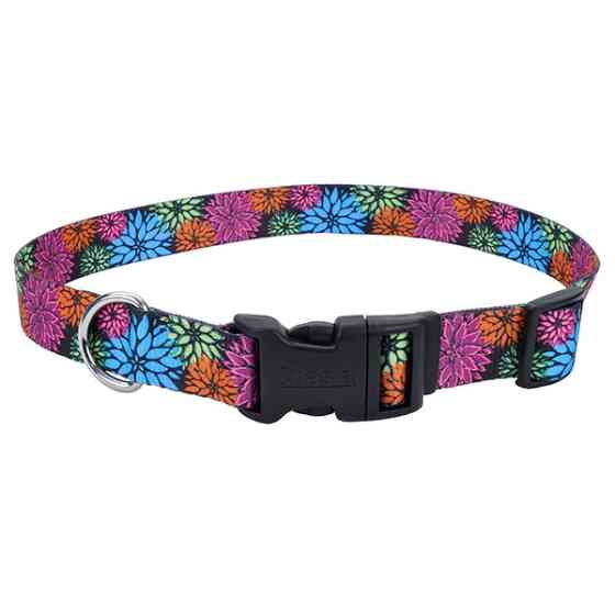 Coastal Pet Attire Styles КОСТАЛ СТАЙЛС ошейник для собак, 1х12-30см Киев
