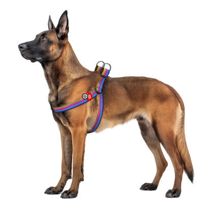 Шлея для собак WAUDOG Nylon з QR паспортом "Лінія 1" пластиковий фастекс XL (324-0006) Вінниця - фото 3