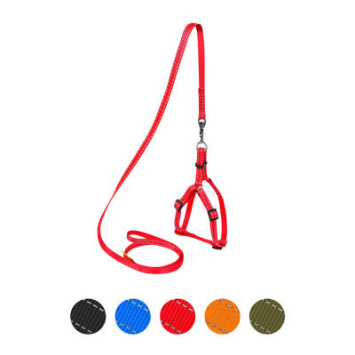 Шлей для собак Dog Extreme из нейлона регулируемая с поводком Ш 15 мм В:40-55 см красная (07033) Винница - изображение 1
