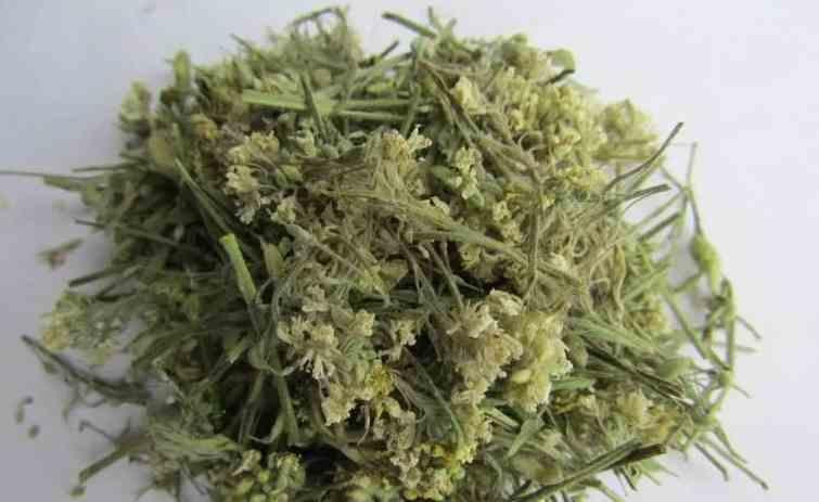 Гикавка сіра (Икотник серый) 100г master sem Киев - изображение 2