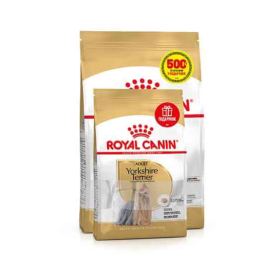 Корм для дорослих собак ROYAL CANIN YORKSHIRE ADULT 1.5 кг + 500 г у подарунок Киев