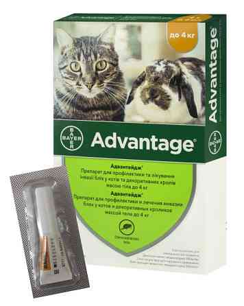 Капли от блох Advantage (Адвантейдж) 40 для котов и декоративных кроликов до 4 кг (1 пипетка 0,4 мл) Bayer Винница