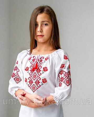 Ніжна блузка з вишивкою "Марічка" червоно-чорна Кривий Ріг - фото 1