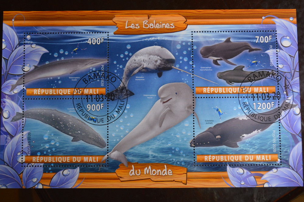 Малі. Марки. Фауна. Блок. 2019 рік (У-2) Полтава - фото 1