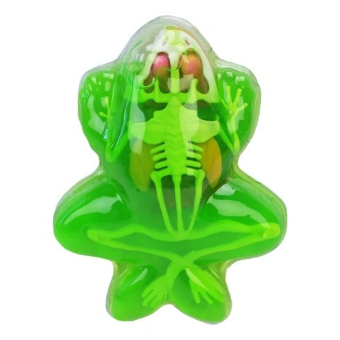 Детский лабораторный набор Лягушка 801B, скелет, внутренние органы Винница - изображение 2