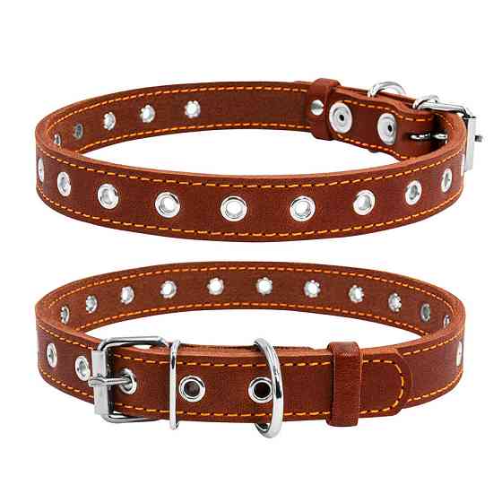 Нашийник "CoLLaR" безрозмірний (ширина 20мм, довжина 50см) коричневий Київ