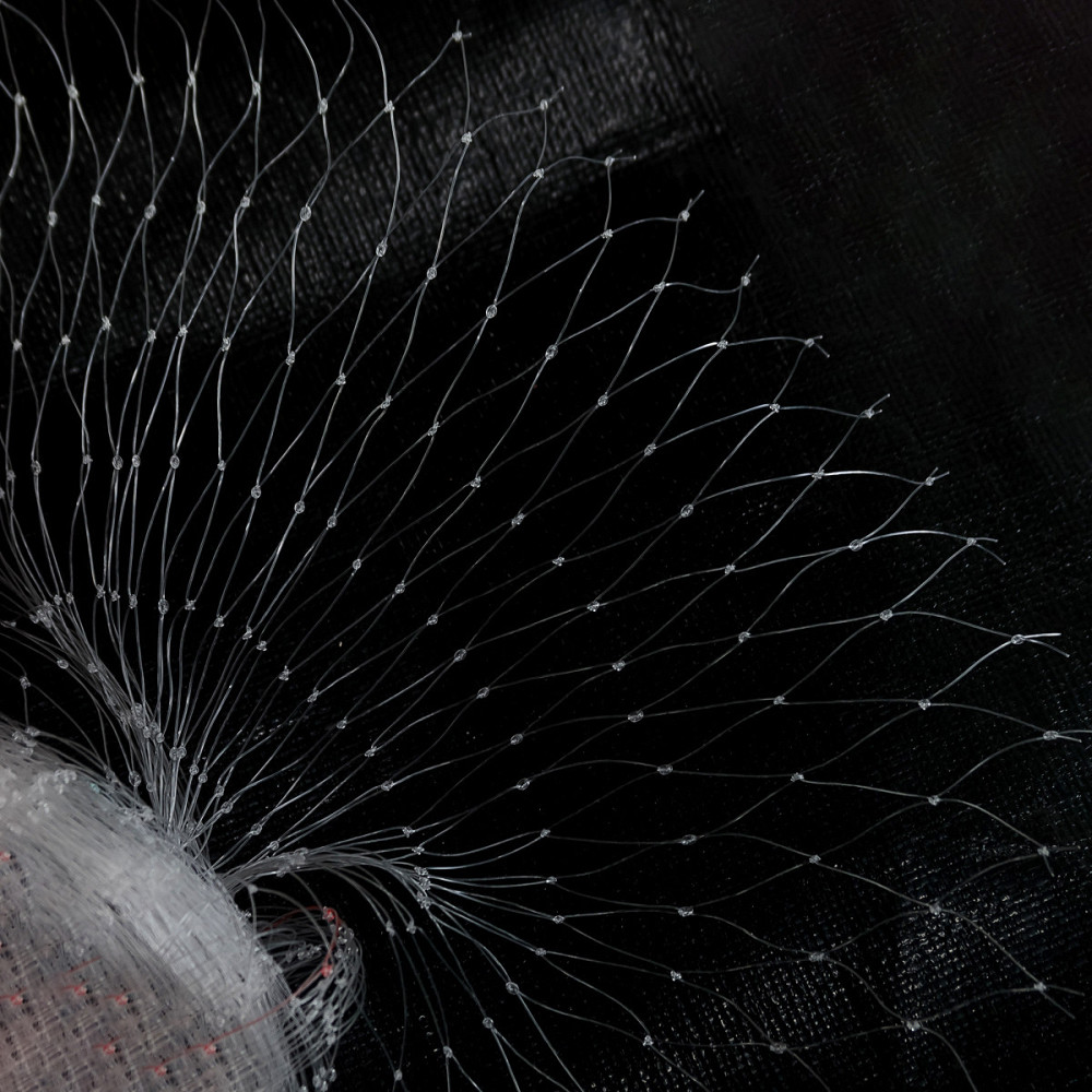 Сітка від птахів 20*20 комірка 6м*5м Дніпро - фото 7