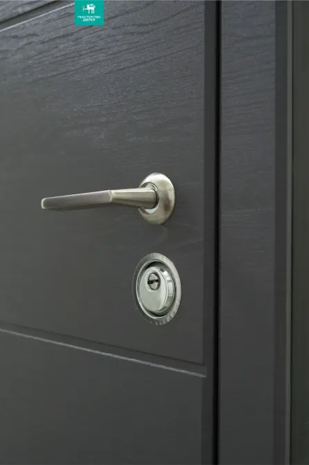 Двери входные Министерство дверей ПБ-202 Дуб грифель / пломбир  860х2050 мм Киев - изображение 6