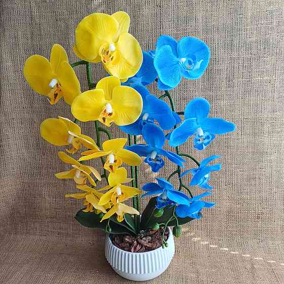Штучна латексна орхідея VIP на дві гілки жовто-блакитна Дніпро