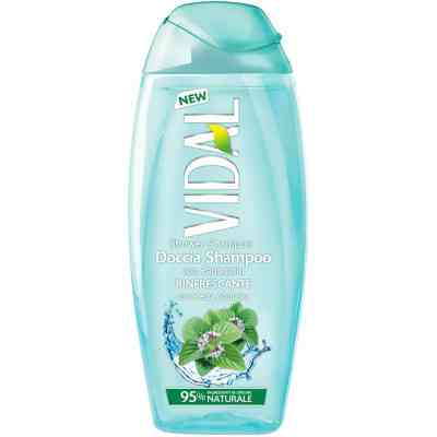 Гель для душа Vidal 2 в 1 Освежающий 250 мл (8008970052342) Вінниця