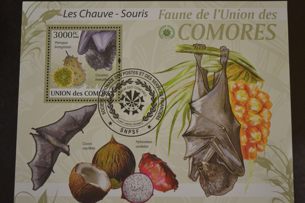 Коморы. Марки. Фауна. Блок. 2009 год (В-5) Полтава - изображение 1