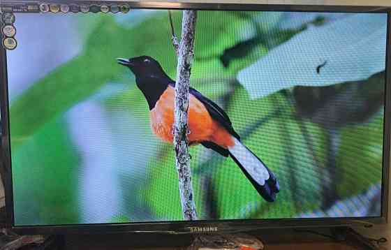 Телевізор: 24" дюйми Samsung Smart TV, T2, WiFi Харків