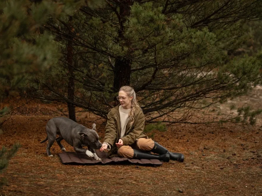 Килимок лежак для собак на прогулянці Travel Roll Up Harley and Cho Brown Одеса - фото 2