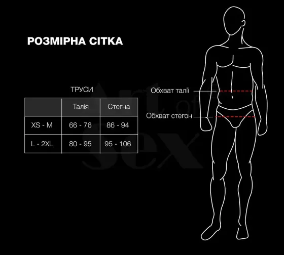 Чоловічі труси з сітки Art of Sex — Demir, колір чорний, розмір L–2XL Львів