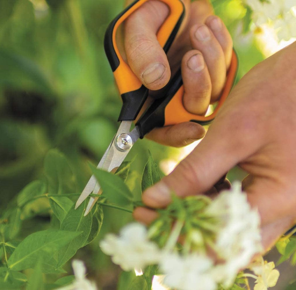 Садові Ножиці 21 см Fiskars "Solid Softgrip "SP15" (1051602) Нержавіюча сталь Нововолинськ - фото 5