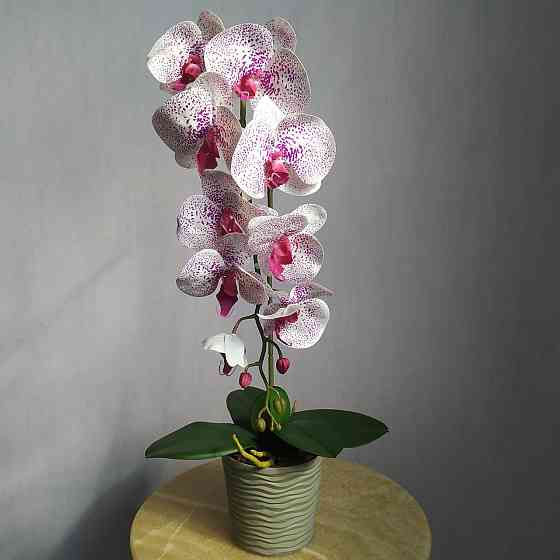 Штучна латексна орхідея VIP у пластиковому кашпо на одну гілку біло-бузкова Дніпро