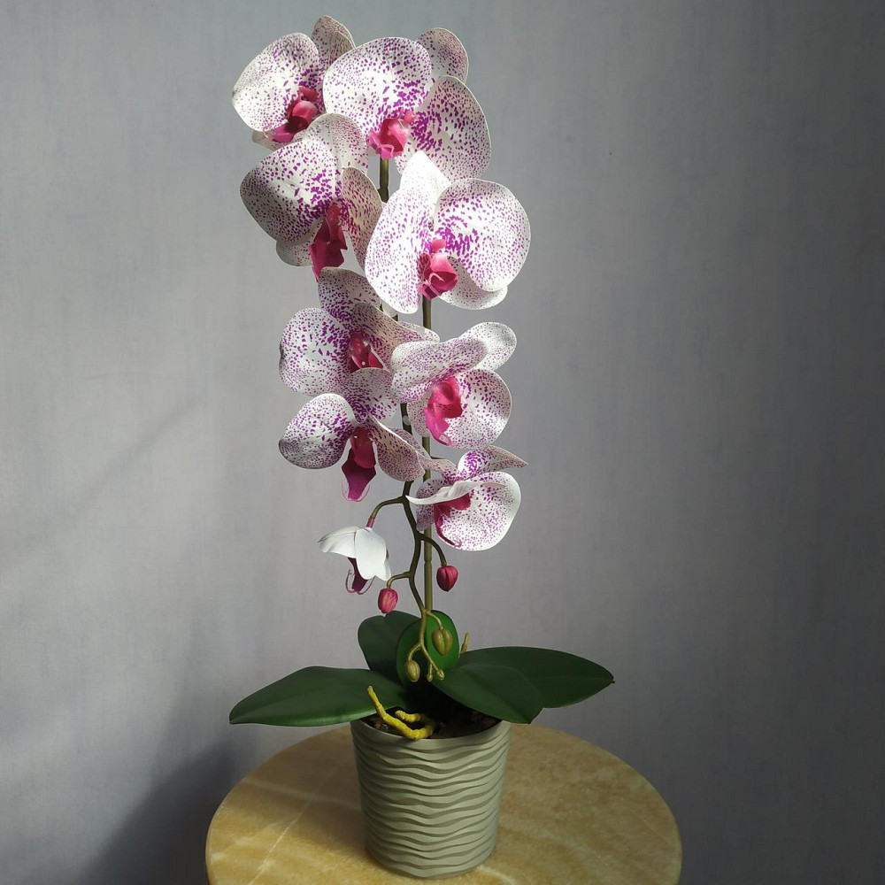 Штучна латексна орхідея VIP у пластиковому кашпо на одну гілку біло-бузкова Дніпро - фото 1