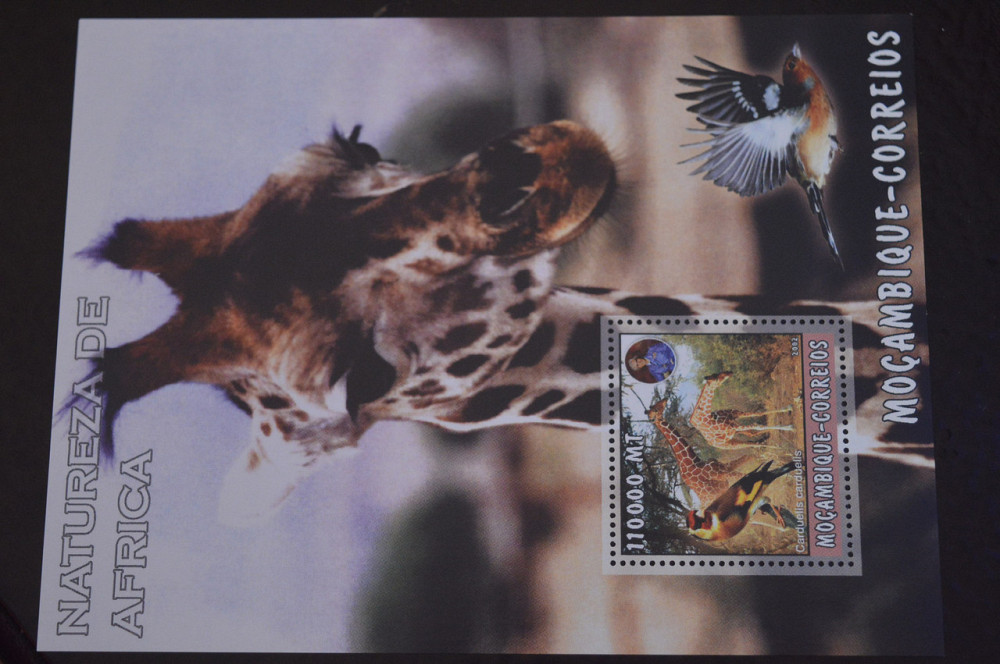 Мозамбик. Фауна. Блок. 2015 год (В-7) Полтава - изображение 1