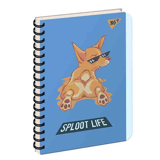 Зошит із роздільниками В6/144 арк. "Yes" пласт. обкл. Sploot life, 681906, шт Київ