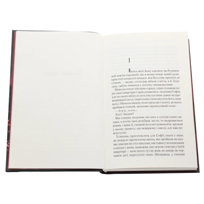 Книга Спів Божої пташки - Василь Шкляр КСД (9786171281141) Вінниця - фото 4