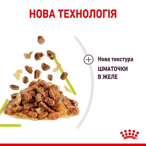 Вологий корм для дорослих котів ROYAL CANIN SENSORY SMELL JELLY 0.085 кг, стимулює нюхові рецептори Київ