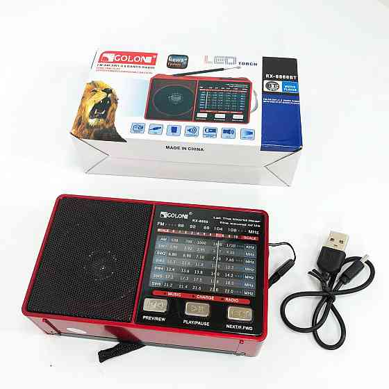 Аналоговий радіоприймач з хорошим звуком, Радіоприймач 220v, Радіо з підтримкою флеш-карт DW-84 Львів