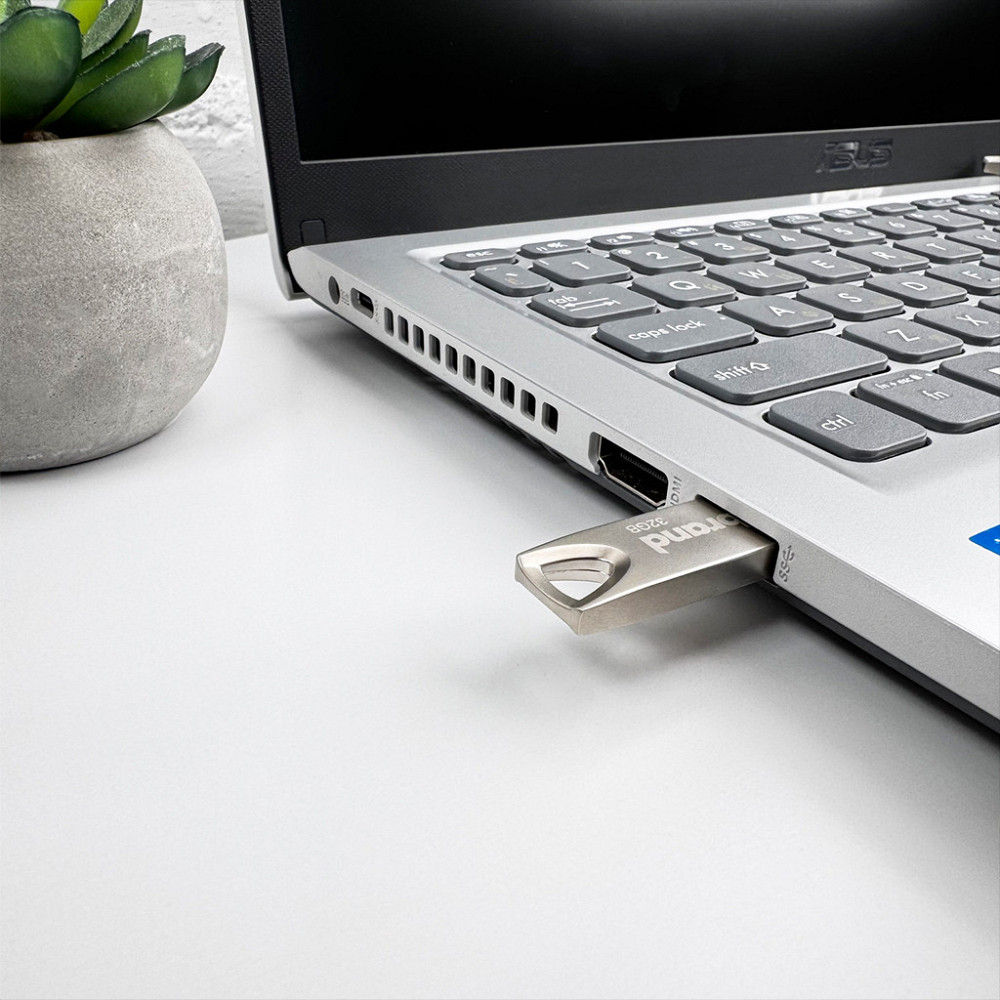 Флешка Wibrand Taipan 32ГБ Срібляста Київ - фото 1