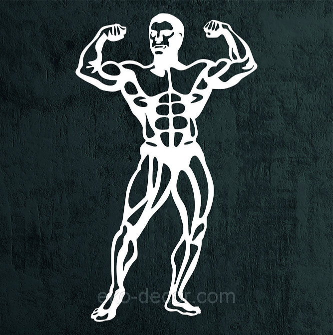 Декоративное настенное Панно «Бодибилдер», Декор на стену 70*41 см, Белый Киев - изображение 8