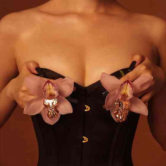 Зажимы для сосков UPKO Bowknot Nipple Clamps в виде бантиков, золотистые Sex Aura Киев