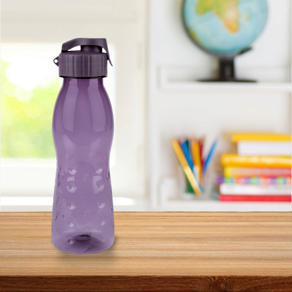 Бутылка для напитков Ernesto 0.7 л фиолетовый Киев - изображение 1