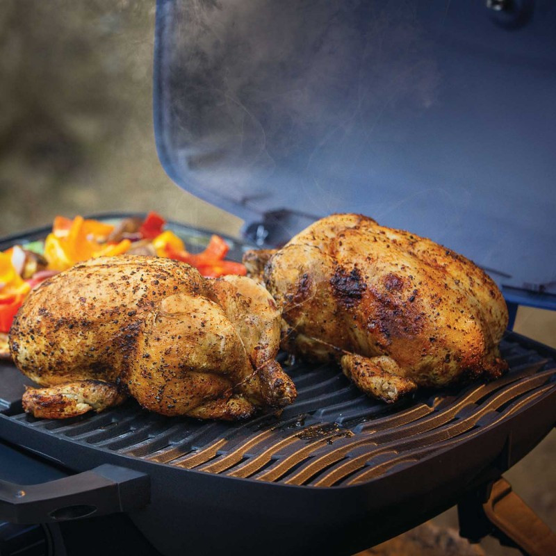 Газовый портативный гриль Napoleon TravelQ TQ285-BK-1-СЕ Код: 008063 Ровно - изображение 4