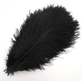 Пір'я для декору рукоділля 10 шт чорні Київ - фото 2