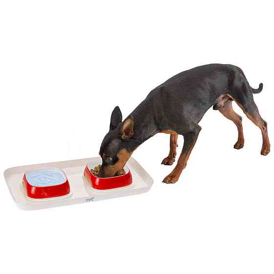 Міски на підносі для собак і котів Ferplast Glam Tray (Ферпласт Глаєм Трей) 40 х 23 x 5.5 см - 0.8 L - SMALL, Коричневий Запоріжжя