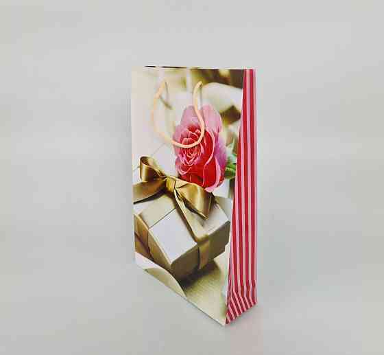 Большой бумажный пакет вертикальный  25/37/8(артBV-101) (12 шт) Харьков